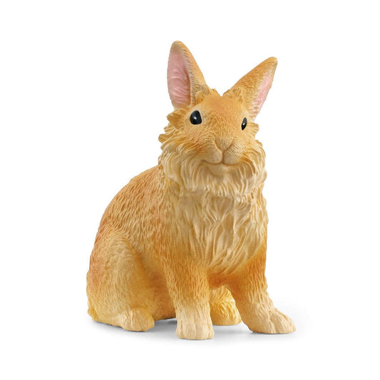 13974 Lionhead Rabbit
