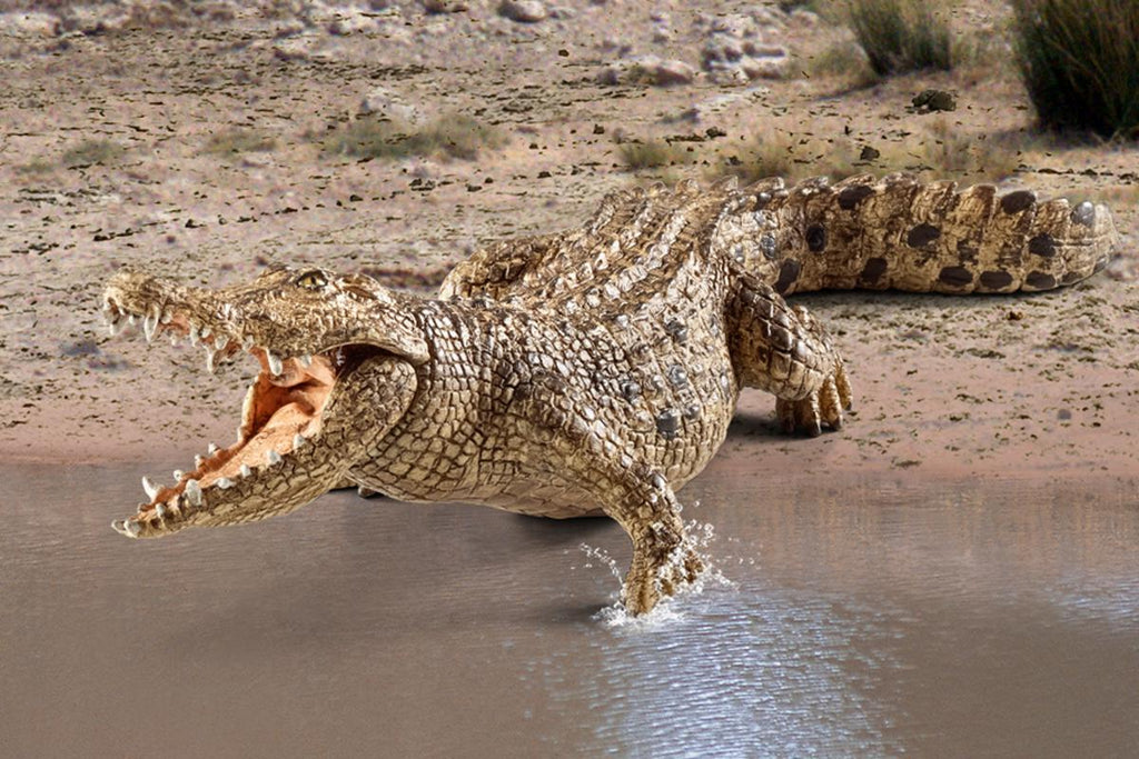 14736 Crocodile