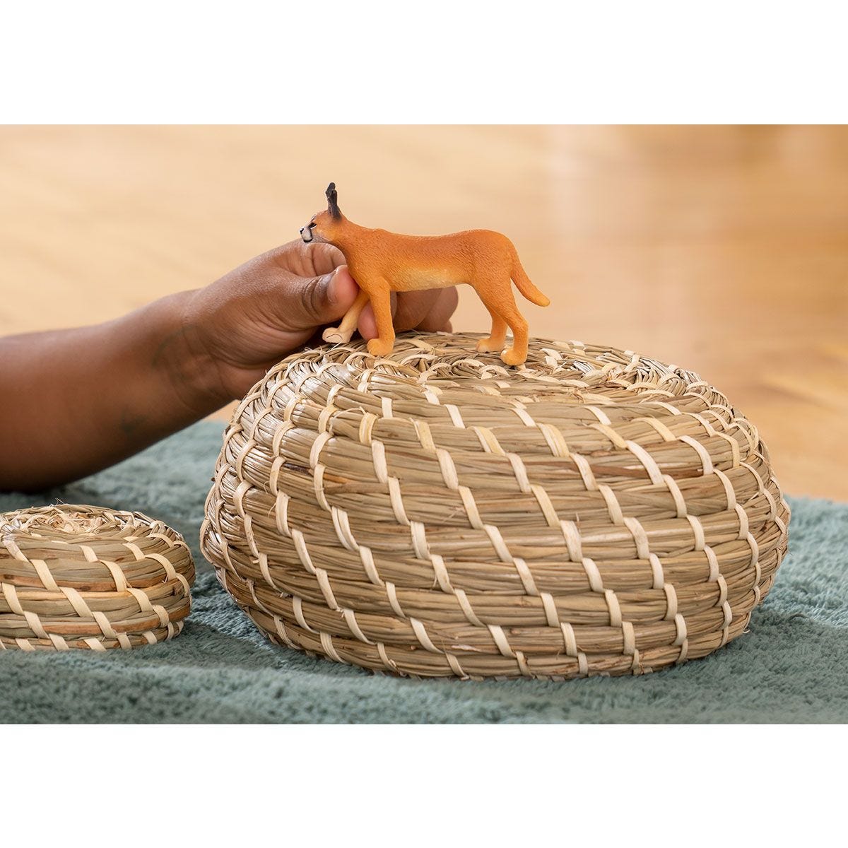 Caracal Female 14867
