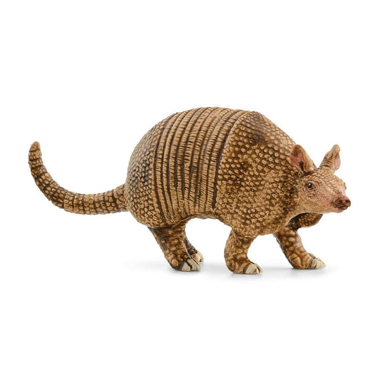 14874 Armadillo