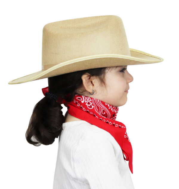Cowboy Hat with Pink Sparkle Tan