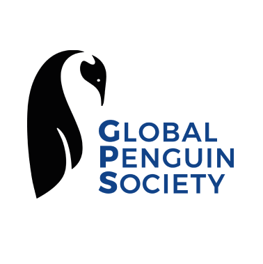The Passage Bracelet Penguin - Seafoam