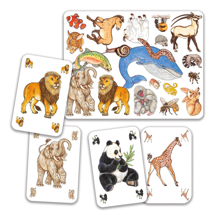 Zanimatch Observation and Speed Card Game
