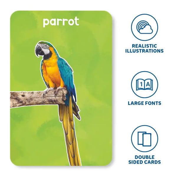 Flash Cards for toddlers: First 100 Animals