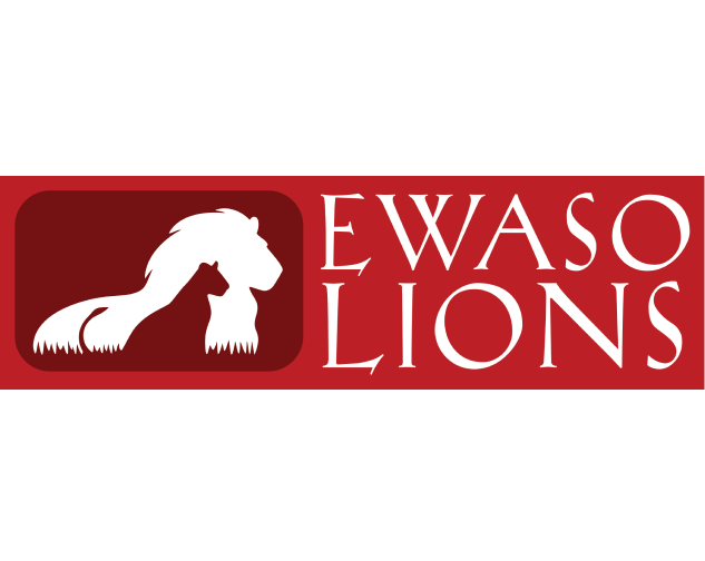 The Excursion Bracelet Lion - River Blue