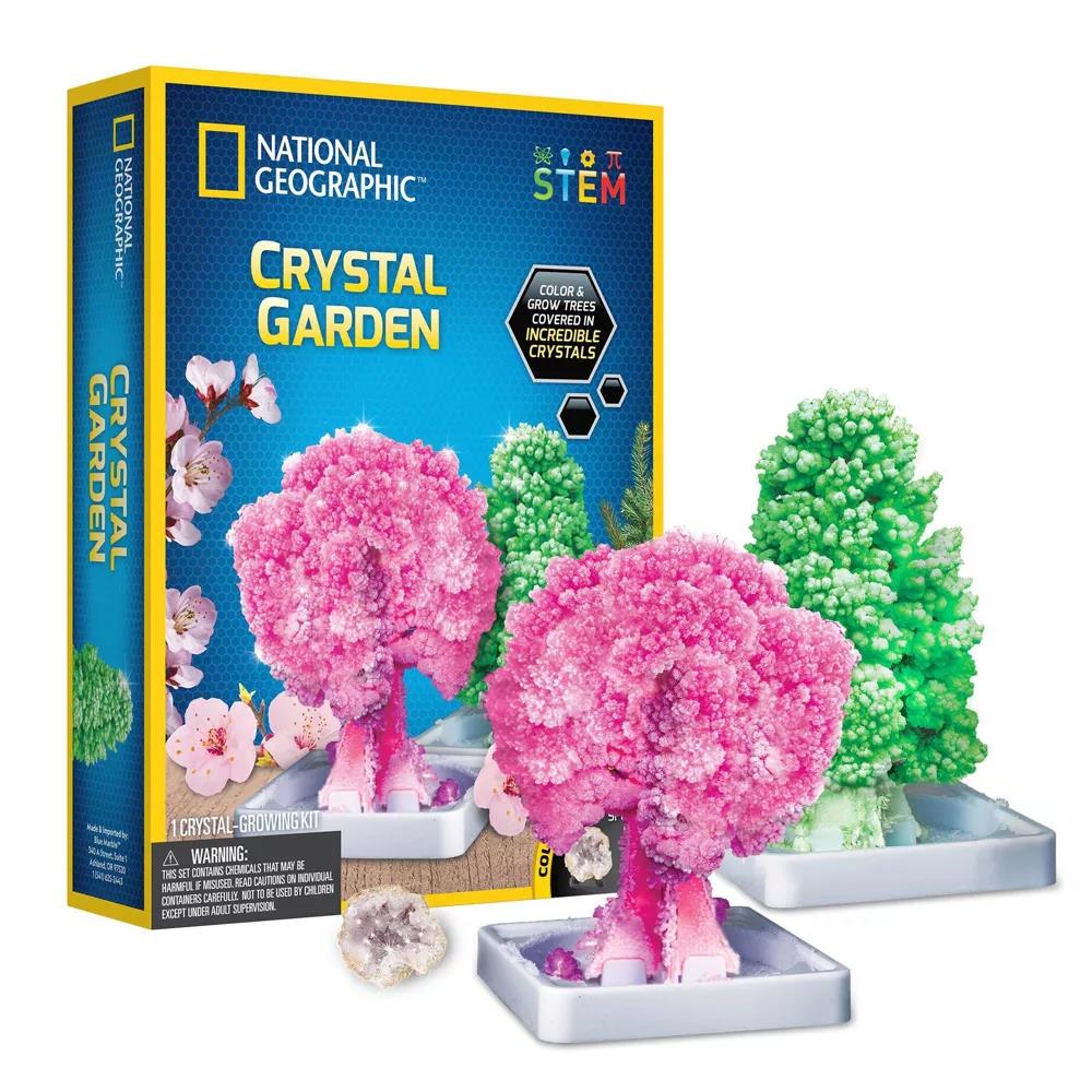 Crystal Garden Science Kit