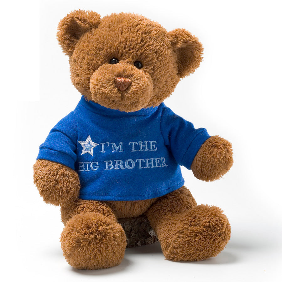 BIG BROTHER BEAR, 12 IN