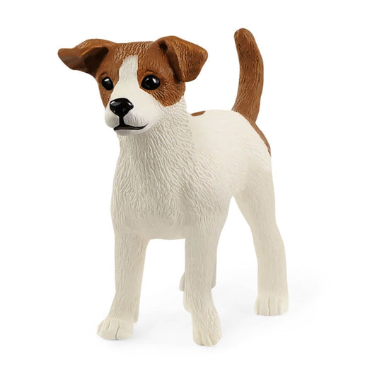 13916 Jack Russell Terrier