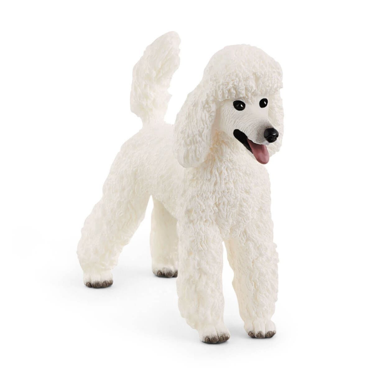 Poodle 13917