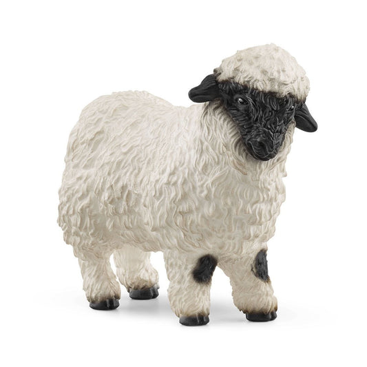 Valais Blacknose Sheep 13965