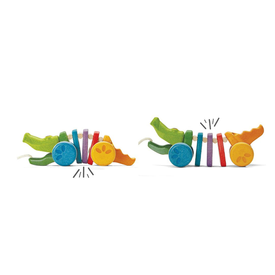 1416 Rainbow Alligator