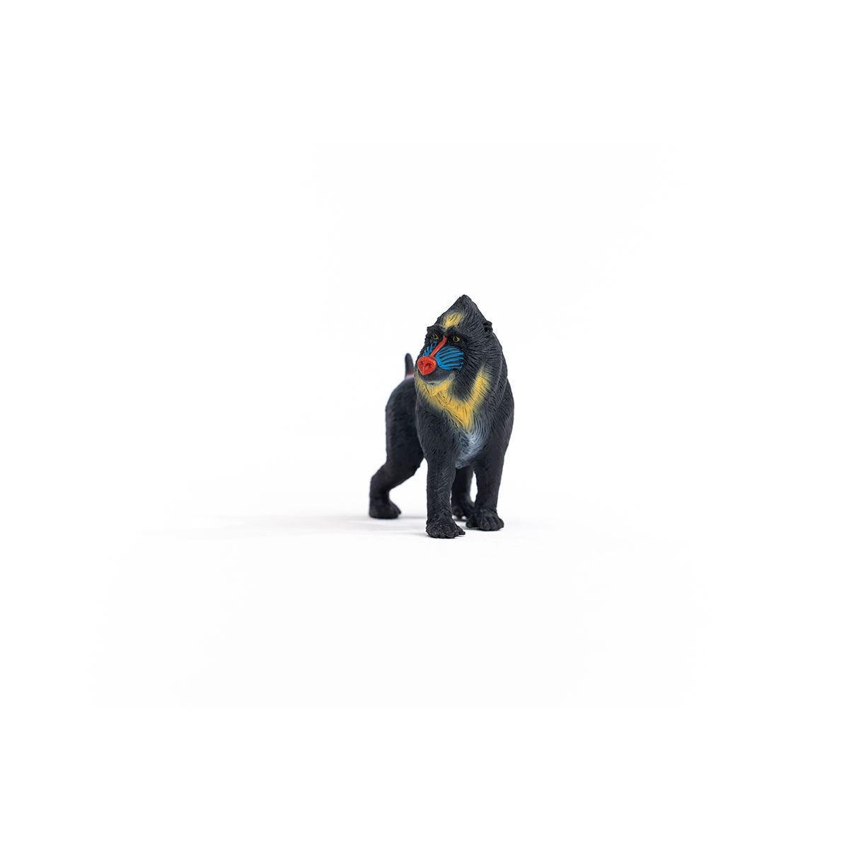 14856 Mandrill