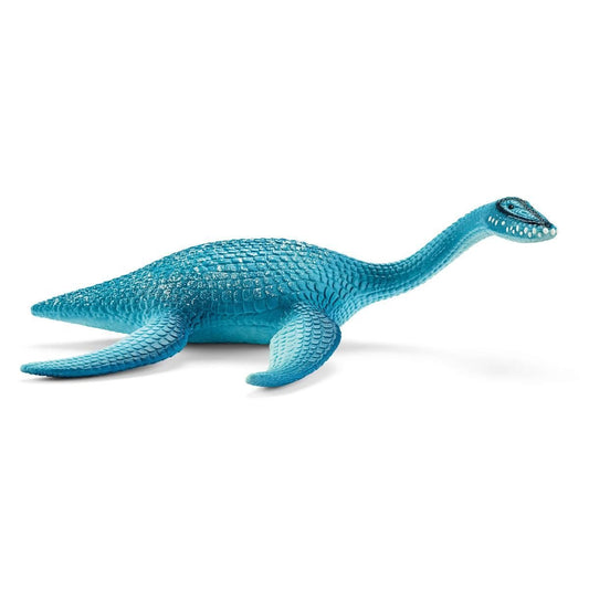 Plesiosaurus 15016
