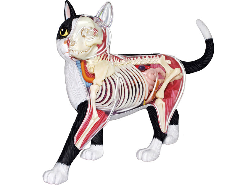 4D Vision Animal Cat (Black & White)