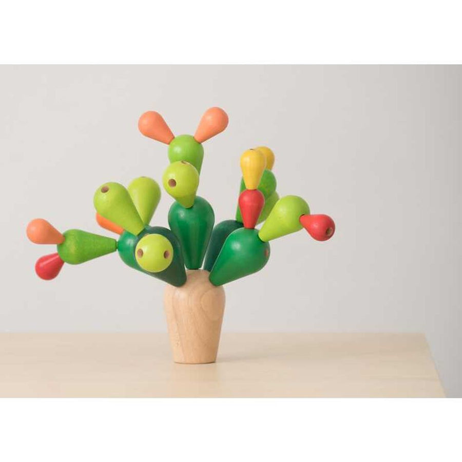 4101 Balancing Cactus