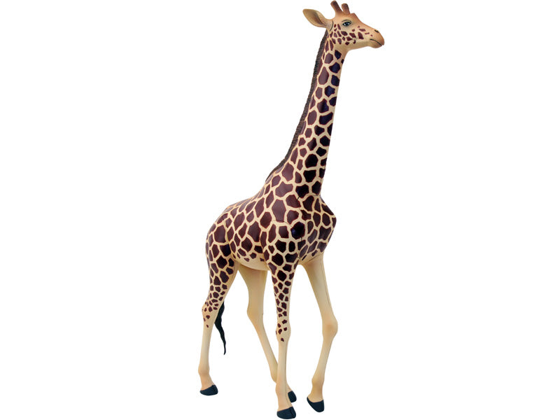 4D Vision Animal Giraffe