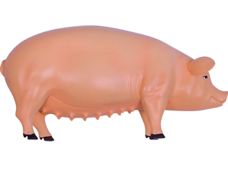 4D Vision Animal Pig