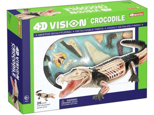 4D Vision Animal Crocodile