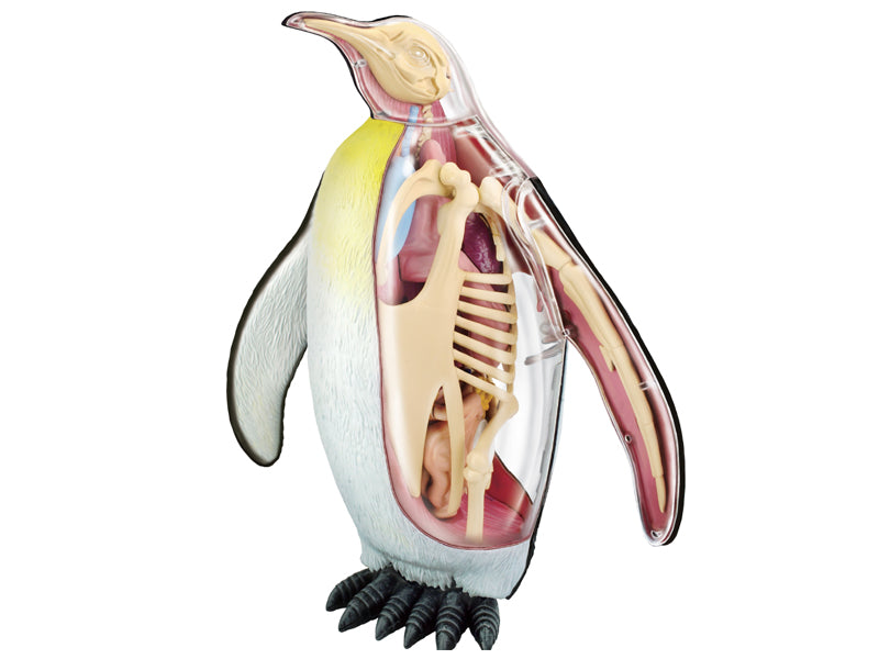 4D Vision Animal Emperor Penguin