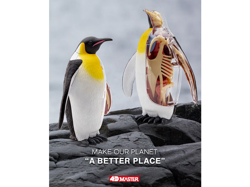 4D Vision Animal Emperor Penguin