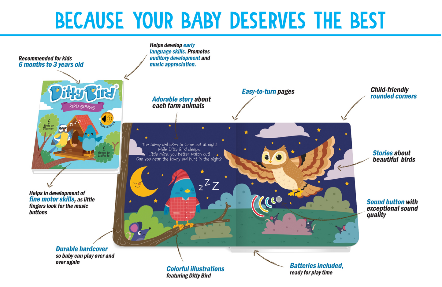 Bird Songs