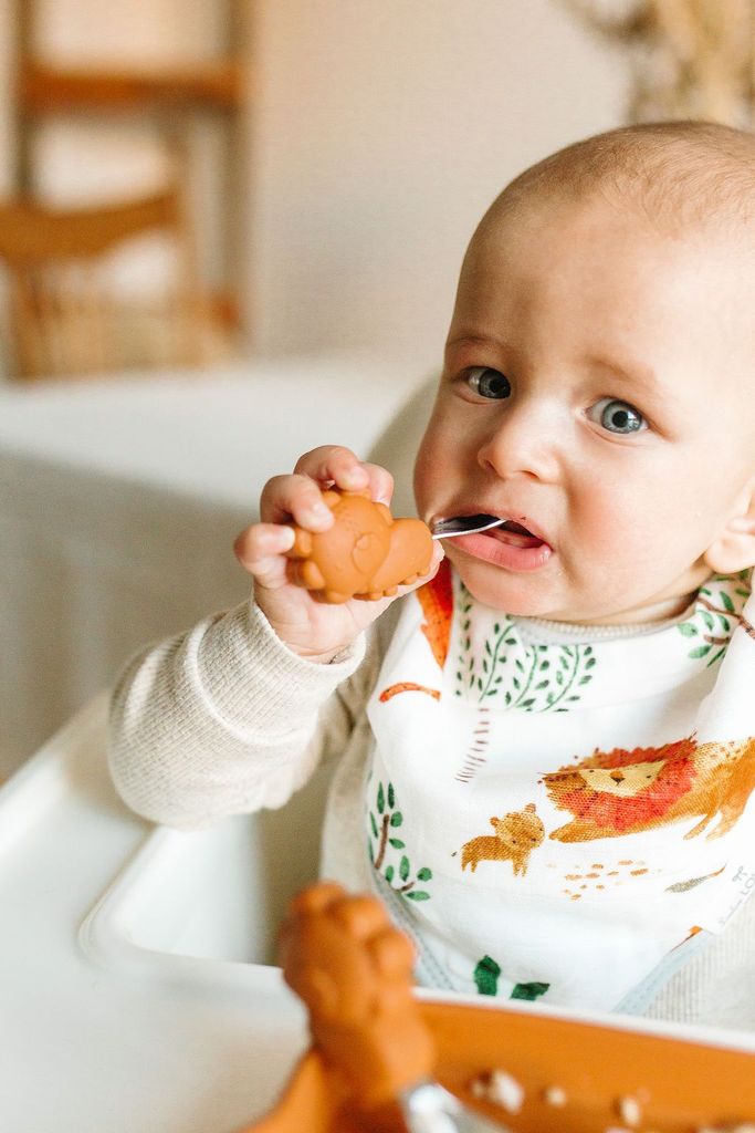 Muslin Bandana Bib Set - Safari Jungle