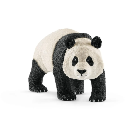 Giant panda, male 14772