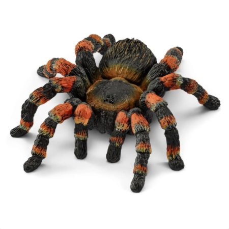 Tarantula 14829