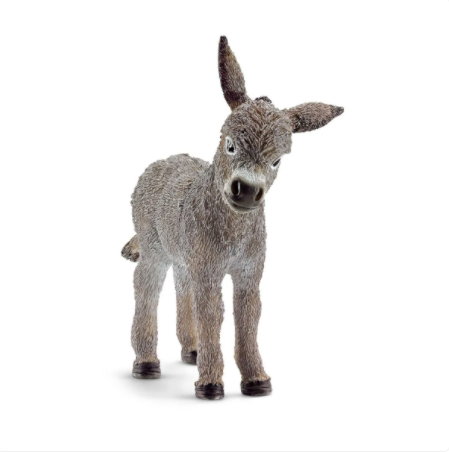 Donkey foal 13746