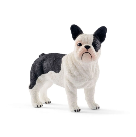 French bulldog 13877