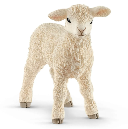 Lamb 13883
