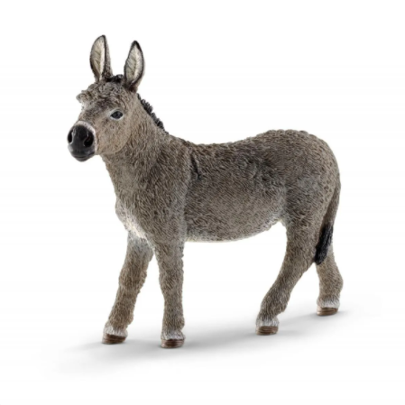 Donkey 13772