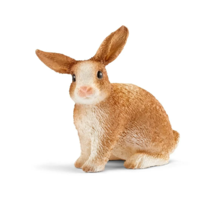 Rabbit 13827