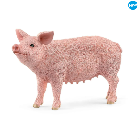 Pig 13933