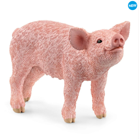 Piglet 13934