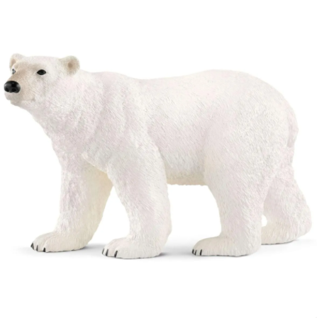 Polar bear 14800