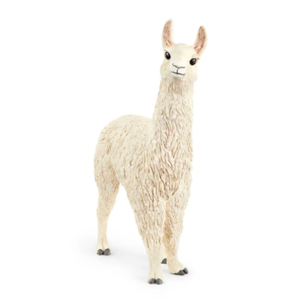 Llama 13920