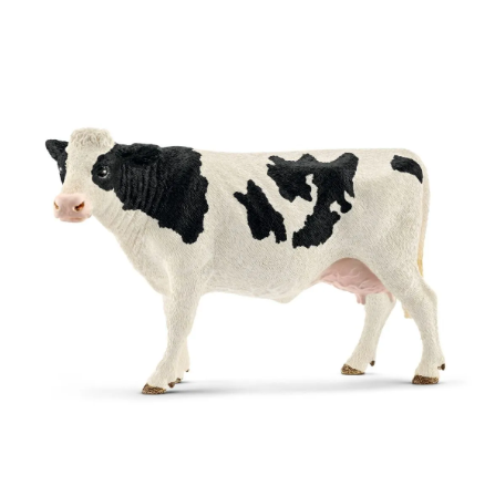 Holstein Cow 13797