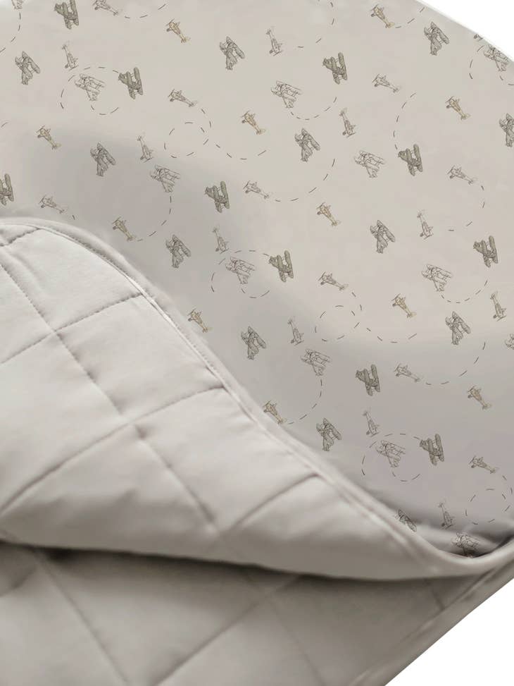F22 Blanket Flight