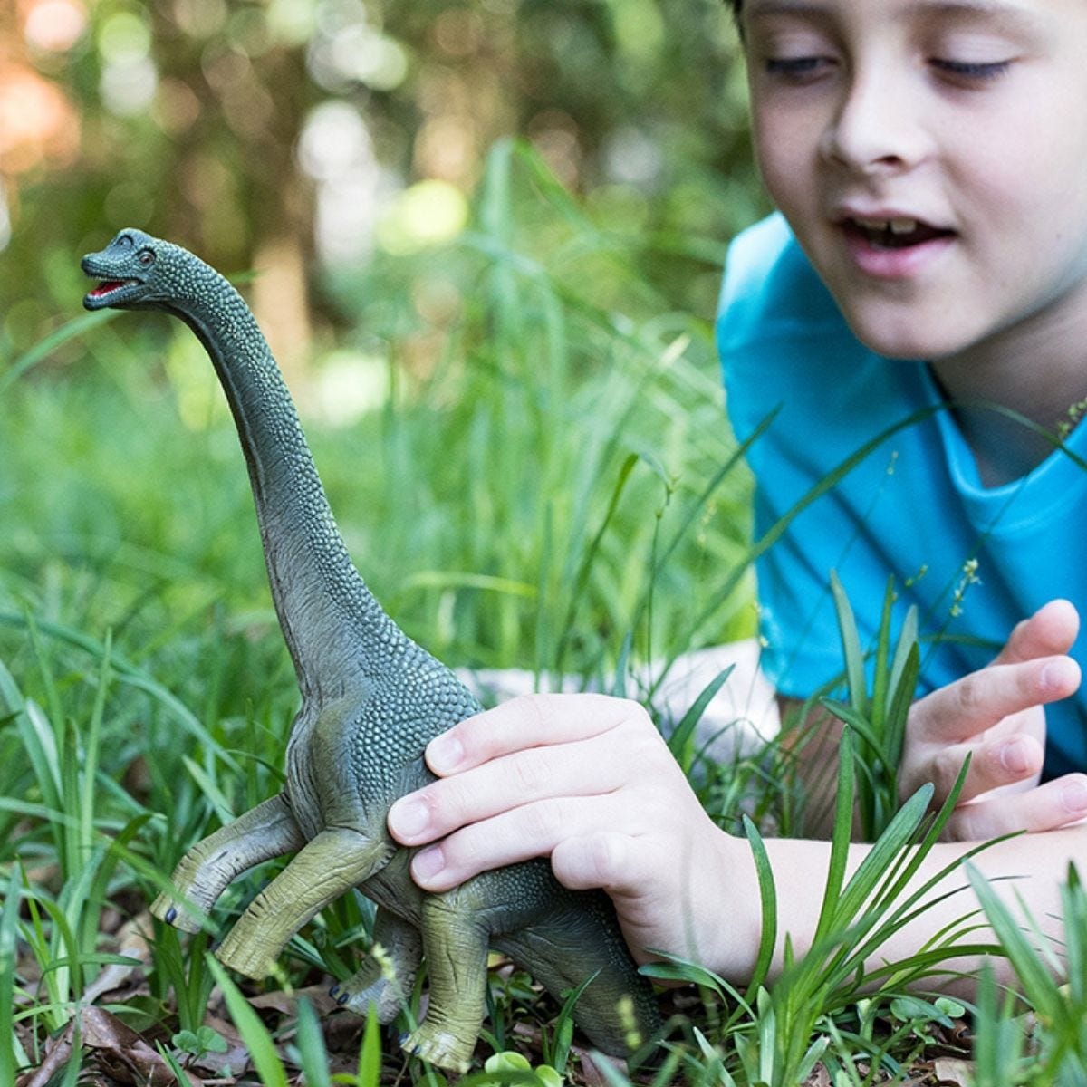 Brachiosaurus 14581
