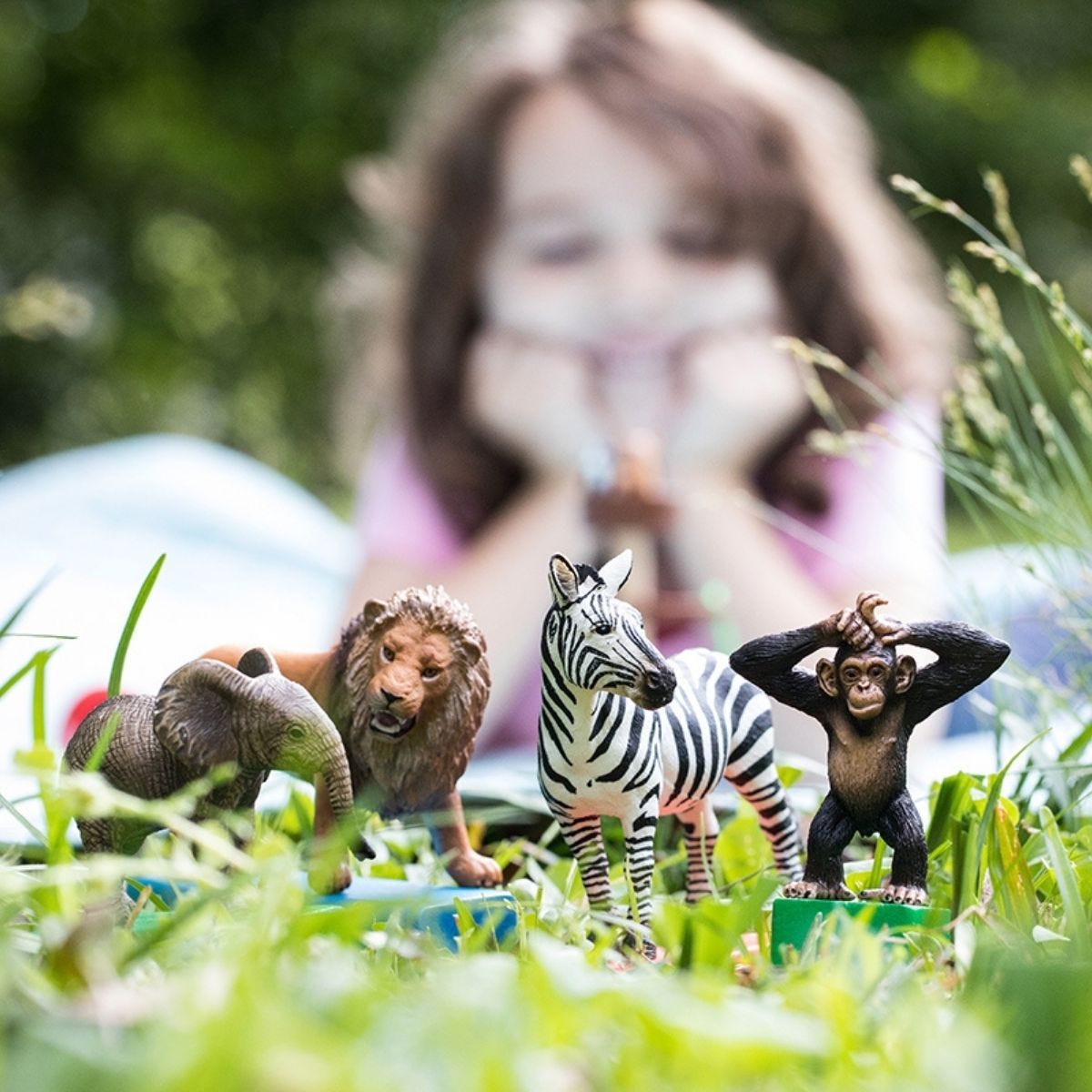 WILD LIFE starter set 42387