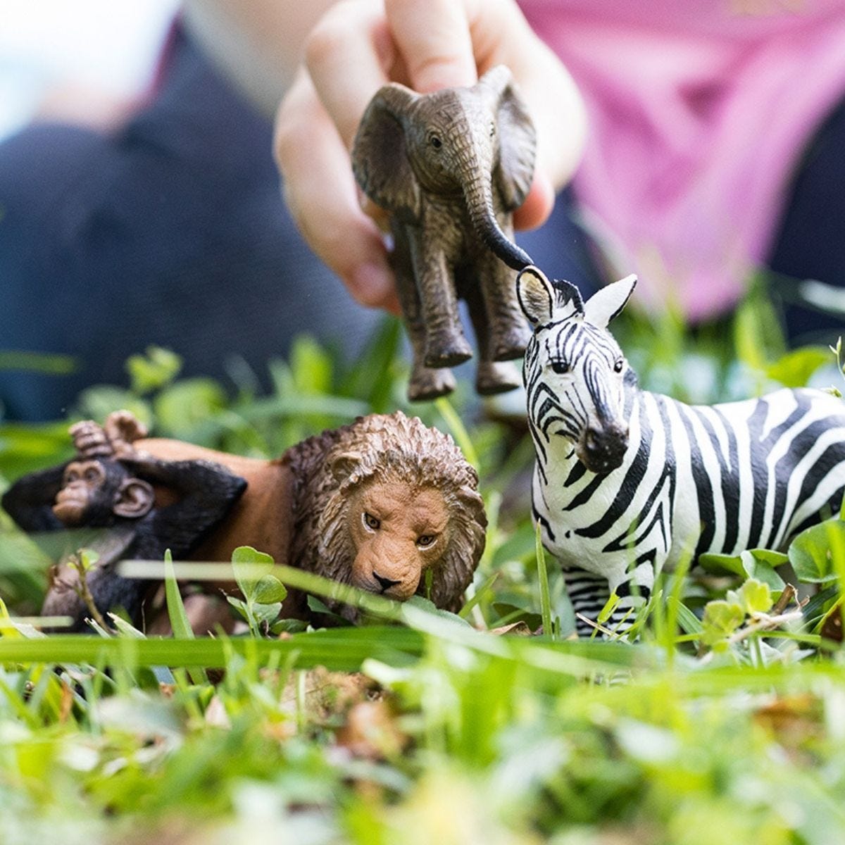 WILD LIFE starter set 42387