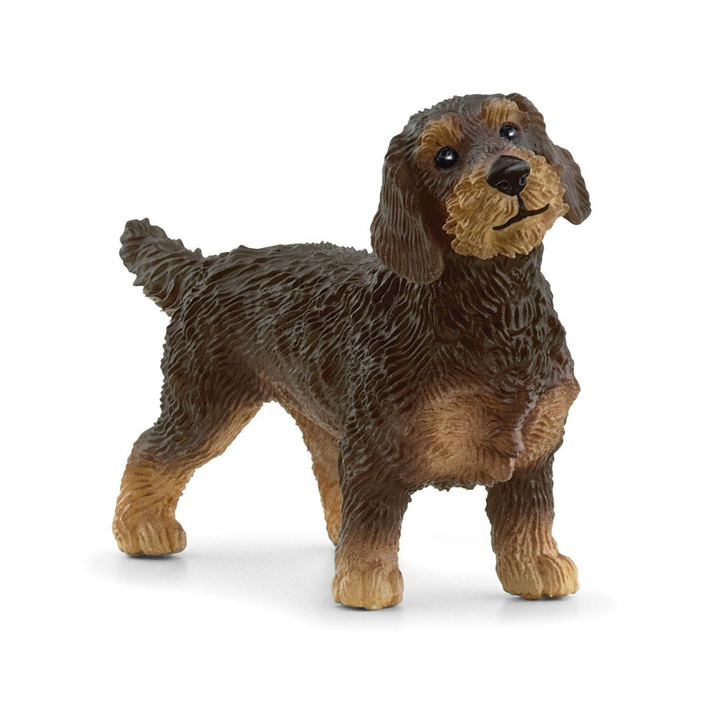 13972 Wire-Haired Dachshund