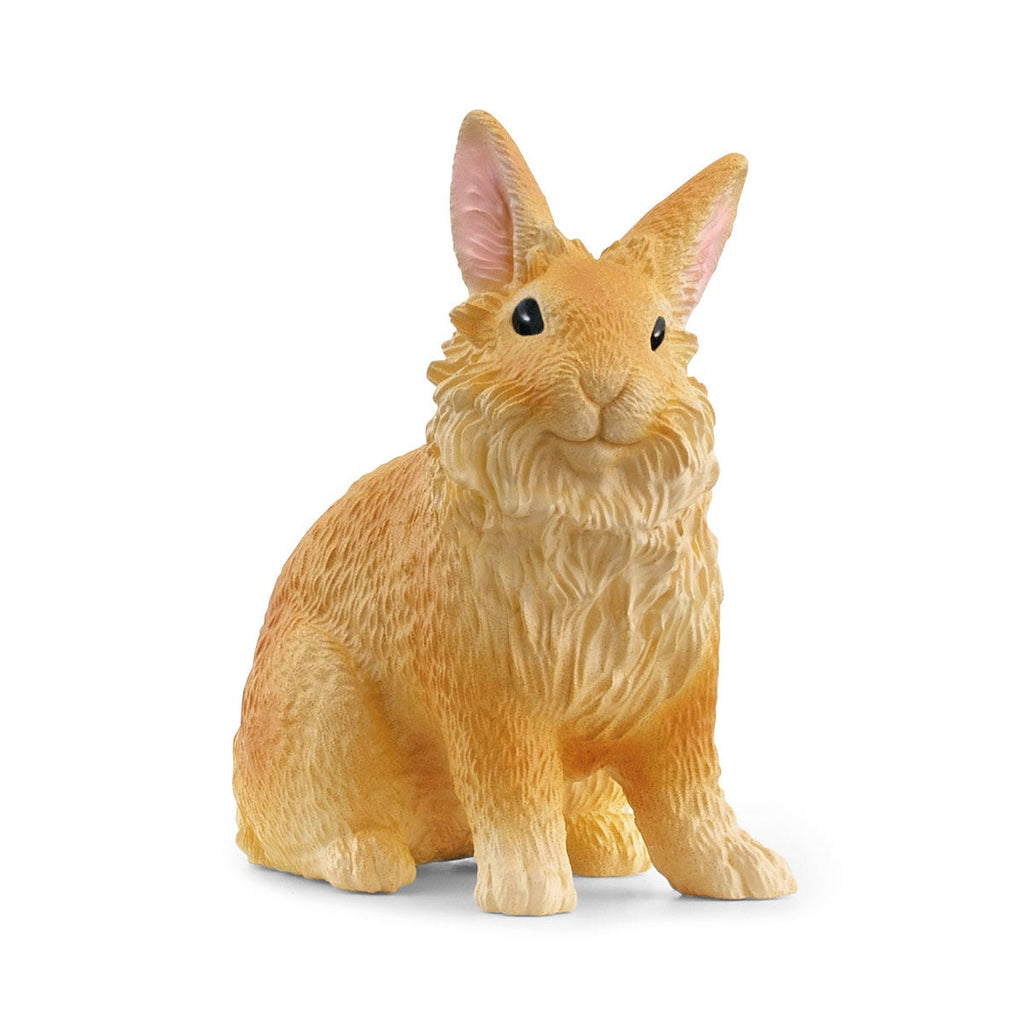 13974 Lionhead Rabbit