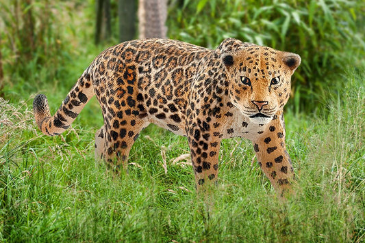 14769 Jaguar