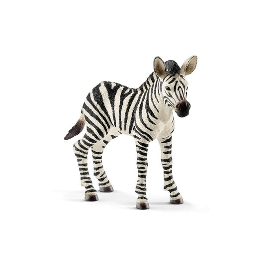 14811 Zebra foal