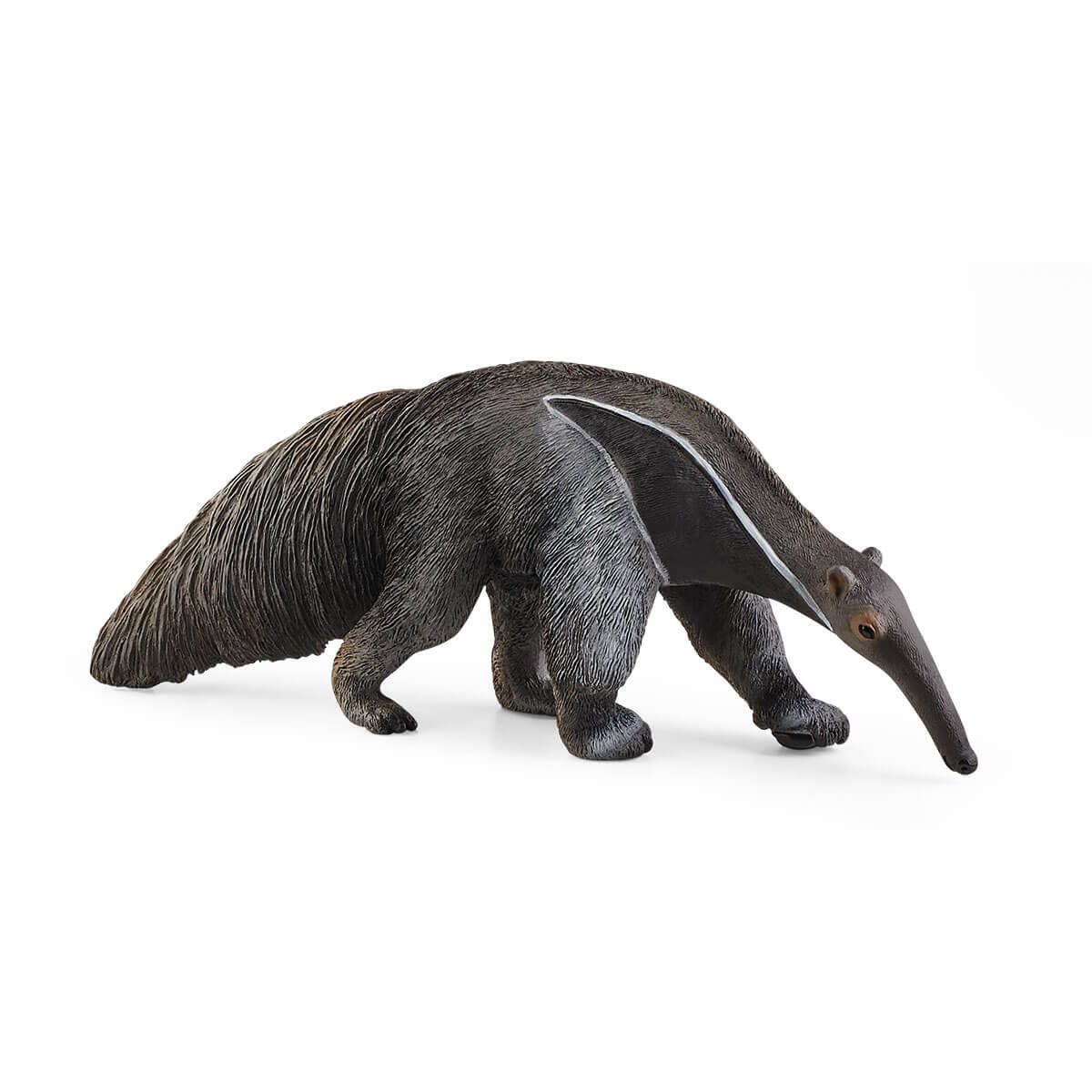 Anteater 14844