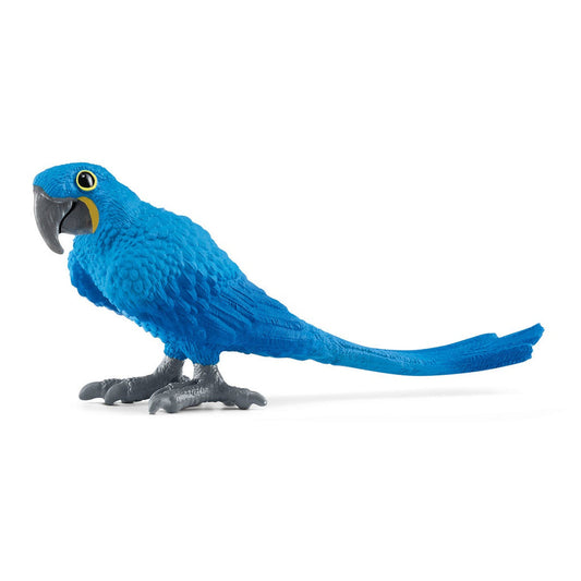 14859 Hyacinth Macaw