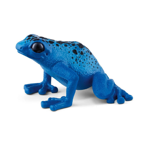 Blue Poison Dart Frog 14864