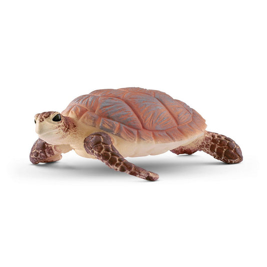 14876 Hawskbill Sea Turtle